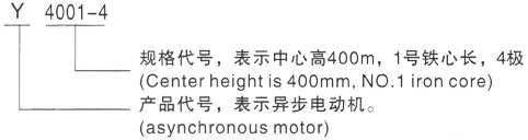 西安泰富西瑪Y系列(H355-1000)高壓三相異步電機(jī)型號(hào)說明